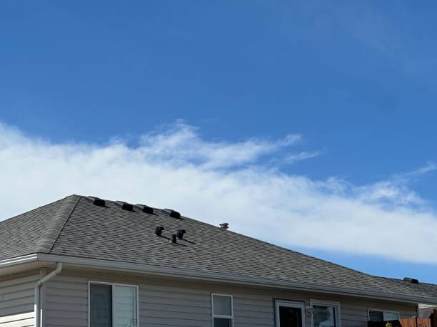 Best Roof Ventilation Installation  in Lino Lakes, MN